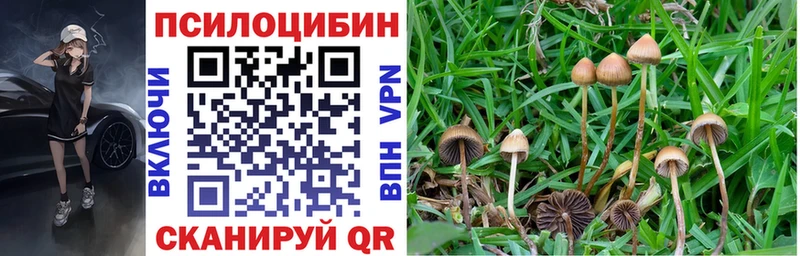 Галлюциногенные грибы MAGIC MUSHROOMS  цена   Мончегорск 